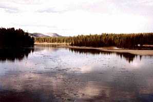 Fishing Bridge im Yellowstone Nationalpark